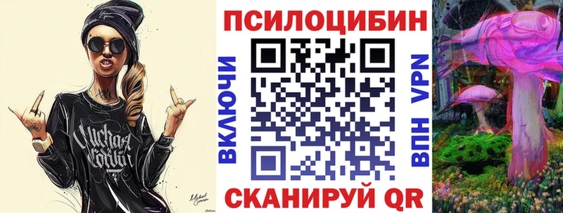 Купить закладки Севастополь Галлюциногенные грибы Psilocybe